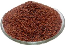 Lajwanti Seeds