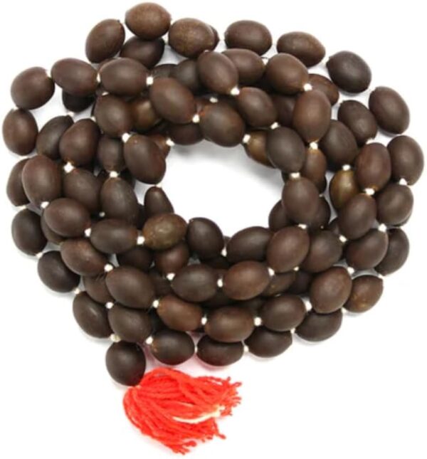 Lakshmi Divya Kamalgatta Mala