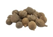 Baheda dry fruit – natural remedy for digestion and cough