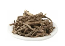 Aakarkara – Natural Ayurvedic Herb for Strength & Vitality