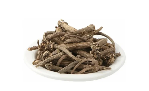 Aakarkara – Natural Ayurvedic Herb for Strength & Vitality
