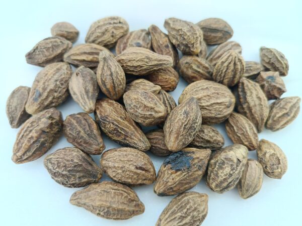 Premium Quality Badi Hared Sun-Dried Lentil Dumplings