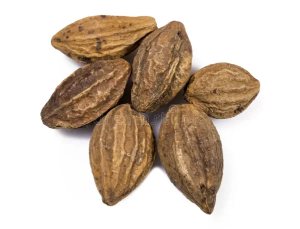 masala harad