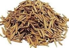 Natural Ayurvedic Herb for Digestion and Gut Health