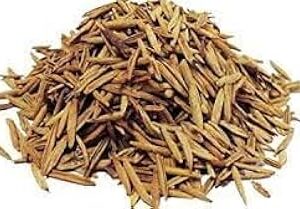 Natural Ayurvedic Herb for Digestion and Gut Health