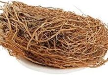Natural Vetiver Root for Pooja and Cooling Use