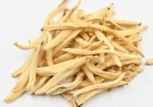 Safed Musli