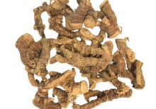 Natural Betel Root for Tantra and Vedic Rituals