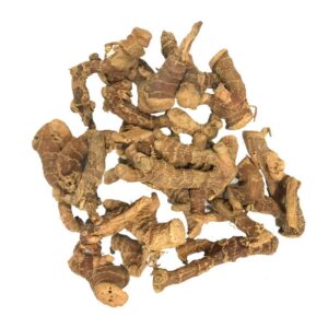Natural Betel Root for Tantra and Vedic Rituals