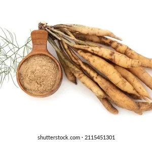 Ayurvedic Shatavari Powder for Hormonal Health