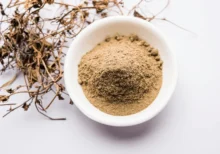 Bhringraj for Hair growth and eating – Eclipta Alba – False Daisy