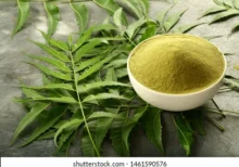 Neem Leaf for Eating, Skin and Hair