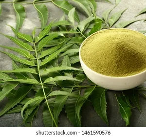 Neem Leaf for Eating, Skin and Hair