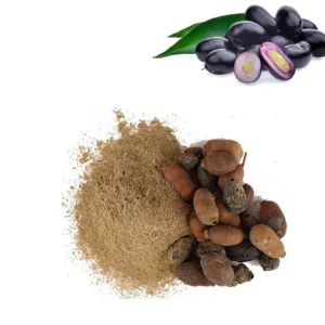 Jamun seed for Diabetes