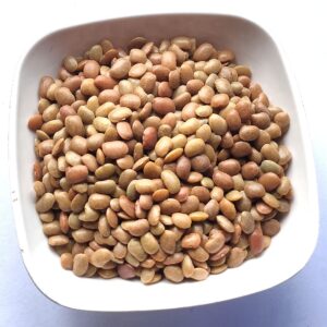 Kulthi Dal – Horse Gram – Macrotyloma Uniflorum