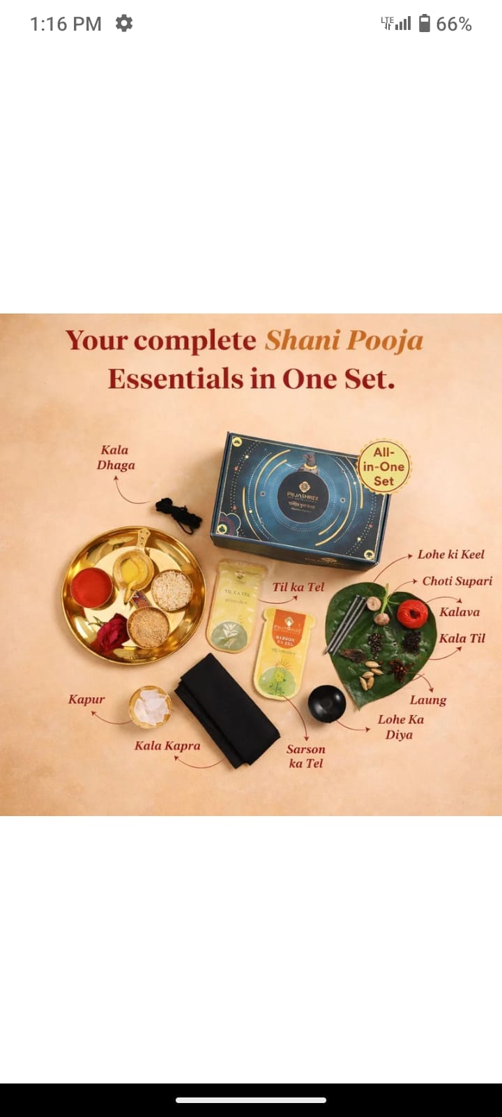 Shani Pooja Kit